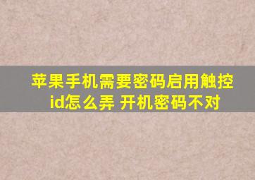 苹果手机需要密码启用触控id怎么弄 开机密码不对